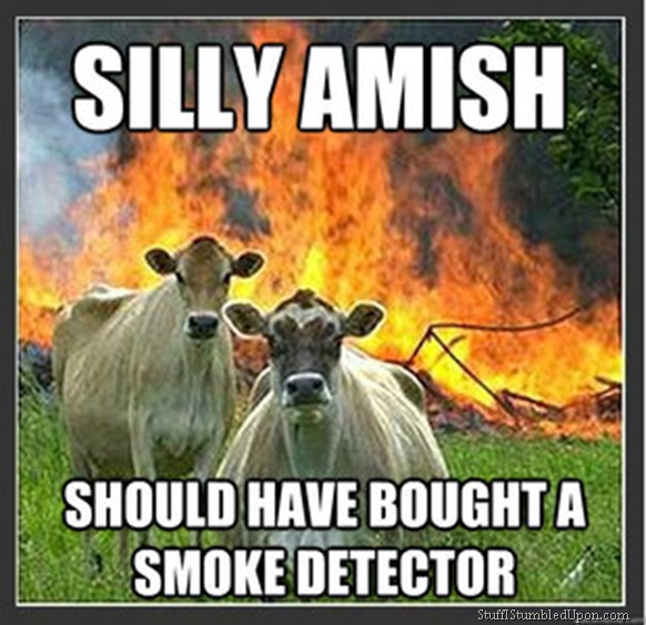 evil-cow-meme-cow-meme-devil-cows-lol-funny-pictures-animals-farm-old-macdonald-mcdonald-274_thu.jpg
